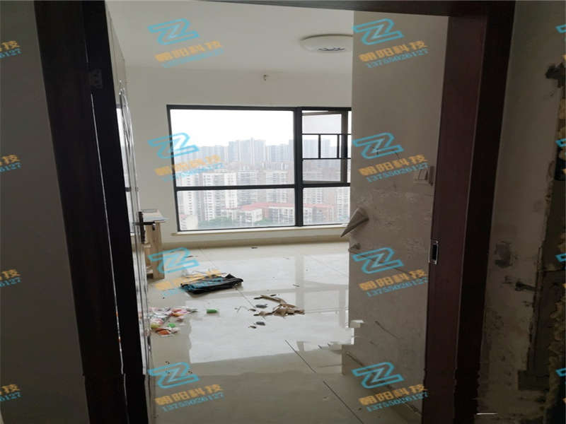 疊彩蘭亭（疊彩峰苑）法拍房A-1、A-2棟2912房