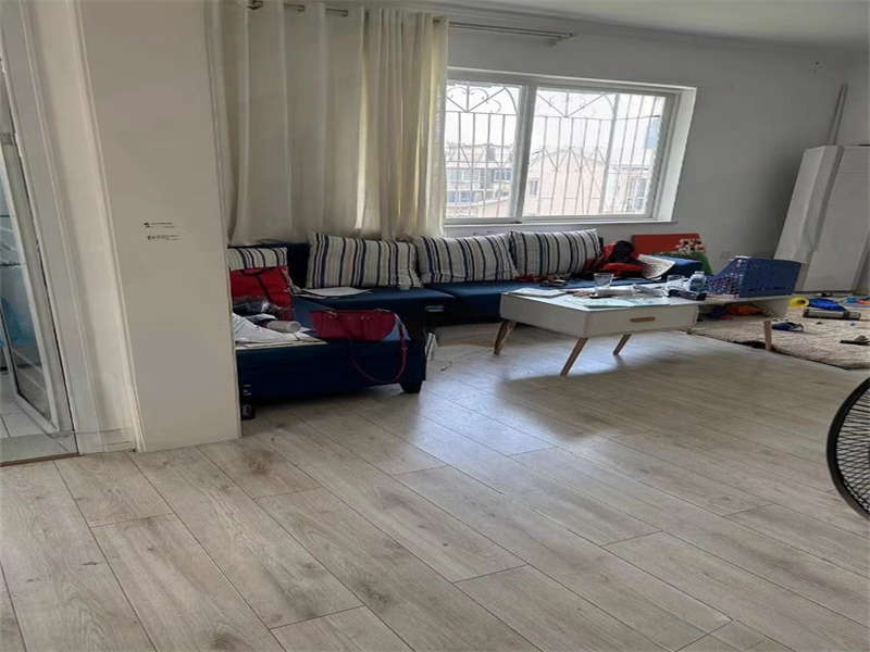 1721637176207601.jpg O1CN01YL6Zgx2JW5595lvAj_!!3070139428-0-paimai_gov.jpg_960x960.jpg